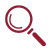 magnifying glass icon