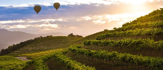 Heart of Napa Valley - Napa Conference 2026 Wine Tour