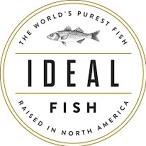Photo of Ideal Fish LLC