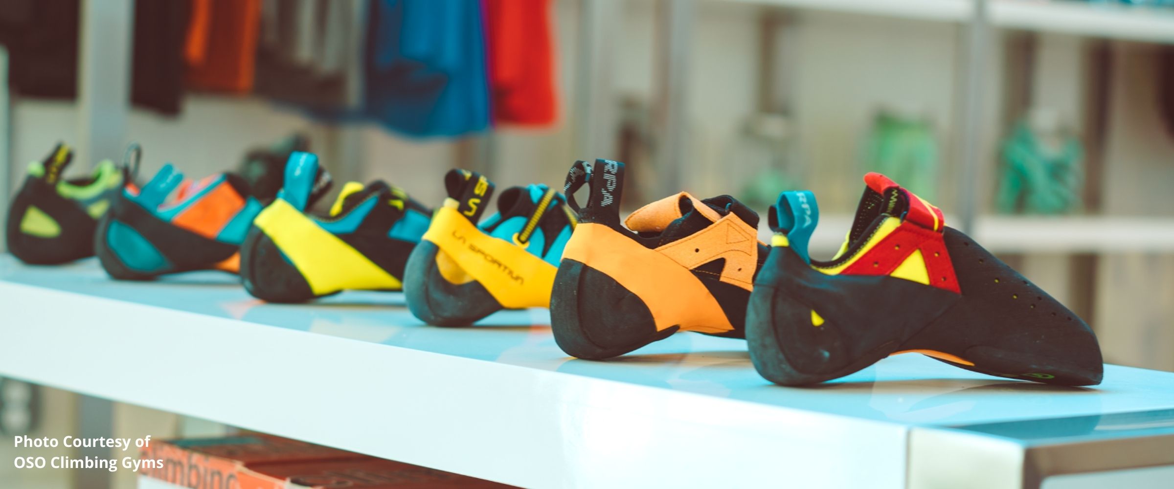 Climbing shoes in climbing gym