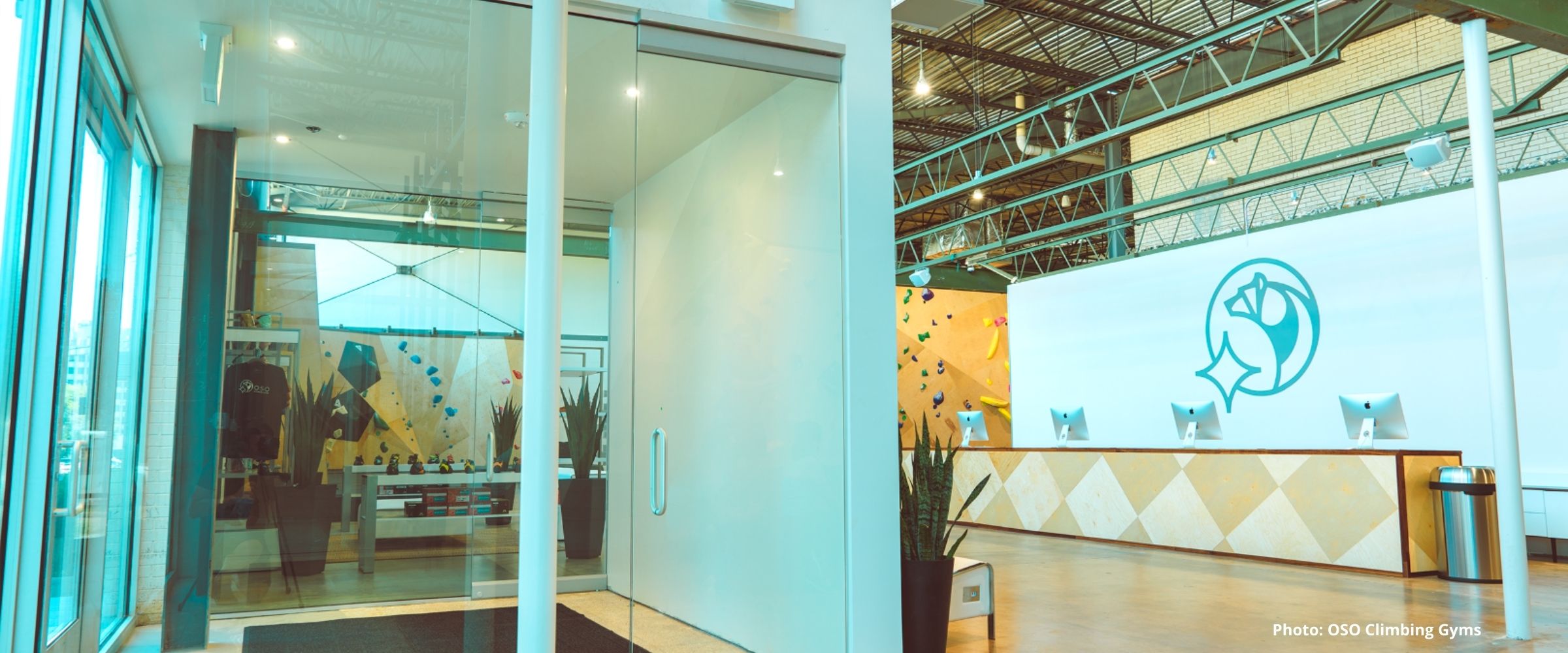 Inside of an indoor climbing gym