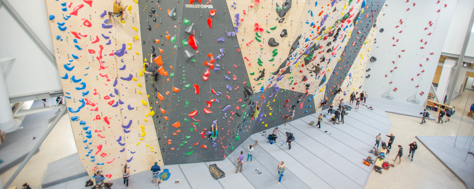 Momentum Indoor Climbing