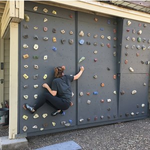 Photo of Sekani Climbing Holds