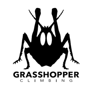 Photo of Grasshopper Climbing
