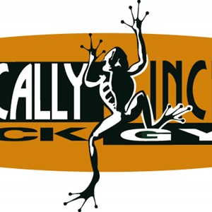 Photo of Vertically Inclined Rock Gym Inc.