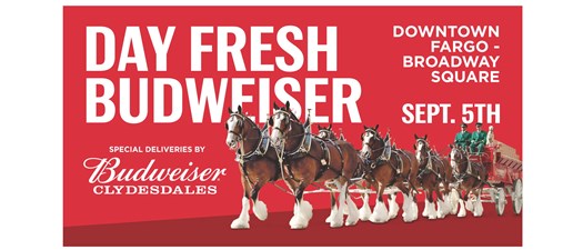 Day Fresh Budweiser & Budweiser Clydesdales