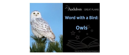 Word with a Bird: A Sensory + Ability Inclusive Story Time