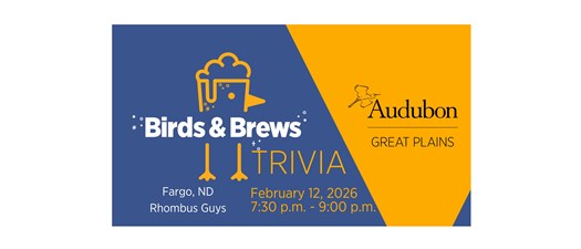 Birds and Brews Trivia