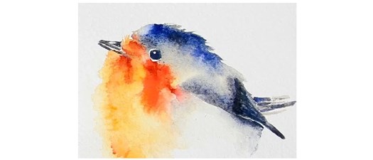 Nature and Birds Watercolor