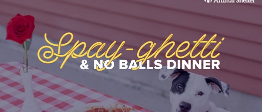 The 11th Annual Spay-ghetti & No Balls Dinner