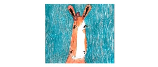 Drawing Animal Portraits