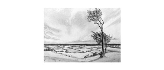 Drawing Landscapes