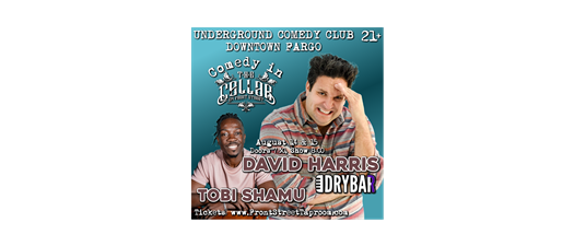 Comedy in the Cellar - David Harris
