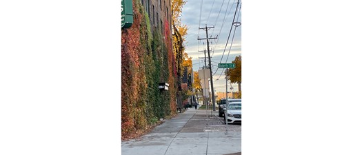 October Walk, Street Wisdom & Art Appreciation