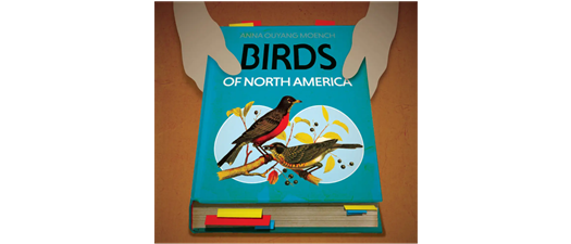 Theatre B presents "Birds of North America"