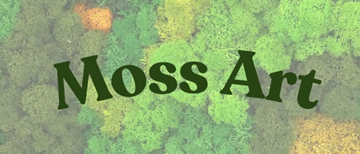 Crafting Class l Moss Art