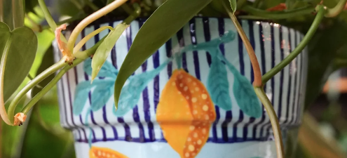 Paint A Pot with Clay Your Way