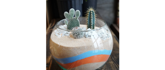 Colorful Cactus Garden Workshop