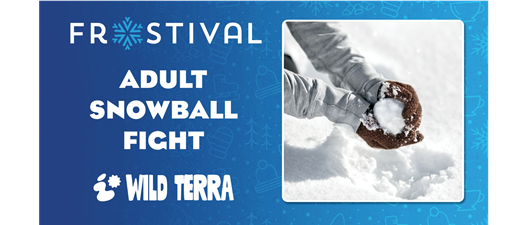 Adult Snowball Fight