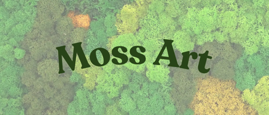 Crafting Class | Moss Art