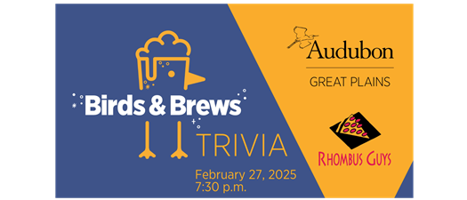 Birds and Brews Trivia