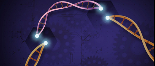 Ethics of Human Gene Editing