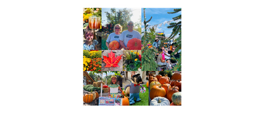 Pumpkinpalooza