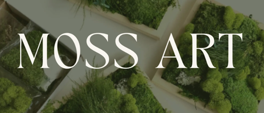 Crafting Class | Moss Art