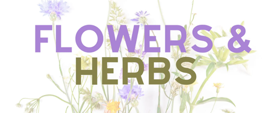 Crafting Class | Flower Bouquets & Edible Herbs