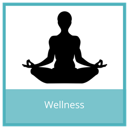Conference Wellness Sponsor