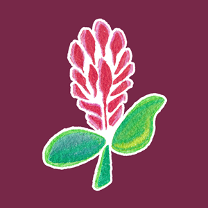 Photo of Meghan Gunn