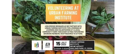 Volunteering with the Urban Farming Institute 