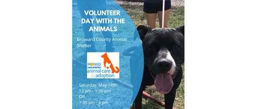 Day with the Animals: Broward County Animal Shelter