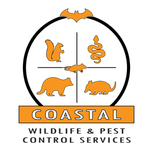 Photo of Coastal WIldlife & Pest Services
