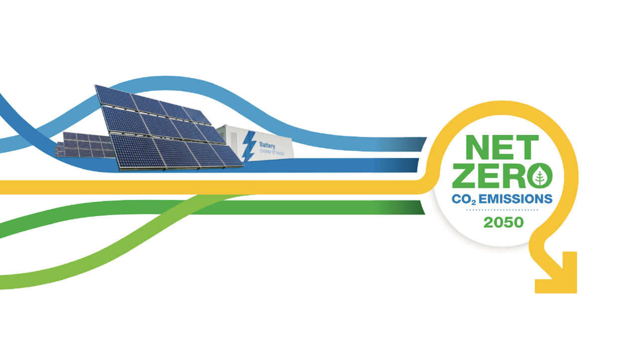 NetZero 2050