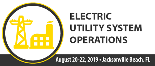 2019 Electric Utility System Operations  