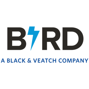 Photo of Bird Electric