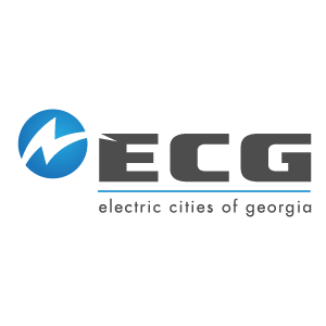 Electric Cities of Georgia