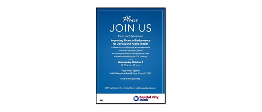 Financial Performance Lunch and Learn/Pace/100825