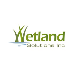 Photo of Wetland Solutions, Inc