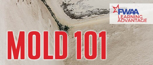 NEW DATE - FEB 5th --> Maintenance Education: MOLD 101 with  First Onsite