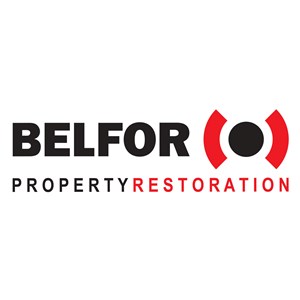 Photo of Belfor USA