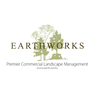 Photo of Earthworks