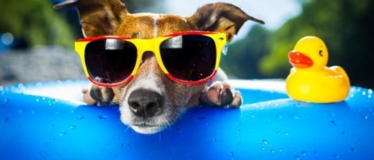 Virtual NC Pool Operator Course - July 2027