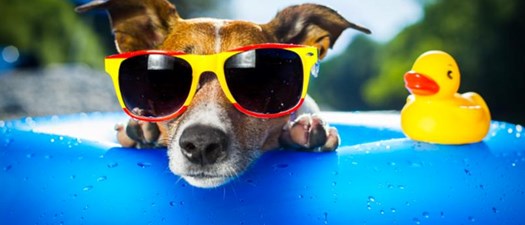 Licensed Aquatic Facility Technician (March 2026)