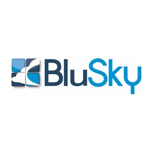 BluSky Restoration