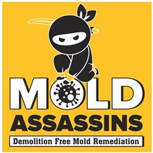 Photo of The Mold Assassins LLC - AAA