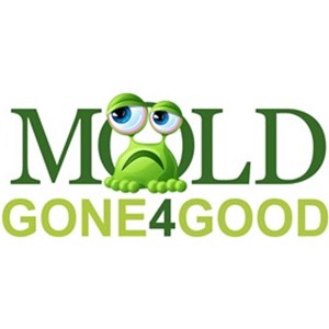 Photo of Mold Gone 4 Good