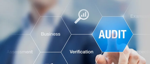 2026 GBRIA Safety and Health Audit