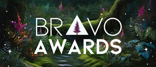 BRAVO Awards 